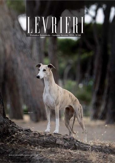 Autunno Inverno 2024